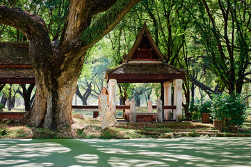 Young woman under the big tree in ancient park near the alcove
