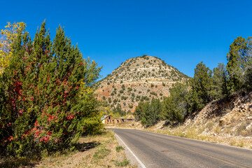 The colors of autumn. Scenic landscape in New Mexico
