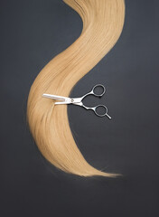 Scissors and piece of blond hair. Professional barber hair cutting shears on black background....