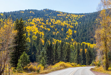 The colors of autumn. Scenic landscape in New Mexico