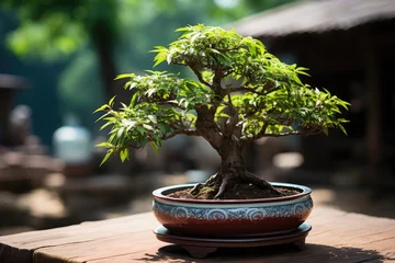 Wandcirkels aluminium bonsai  japanese tradition grown tree © NikahGeh