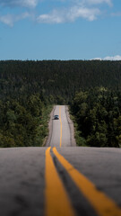 Photograph of a car driving through fir trees on a Canadian road