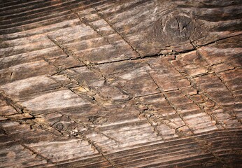 detail of an old cut spruce board