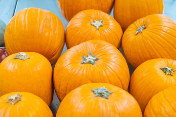 Halloween pumpkin in the store