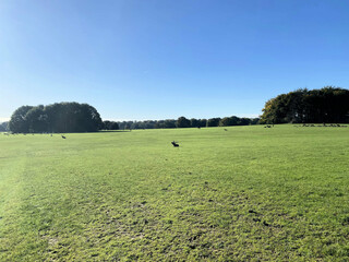A view of the Cheshire Countryside near Knutsford on a sunny day
