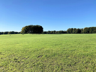 A view of the Cheshire Countryside near Knutsford on a sunny Autumn day