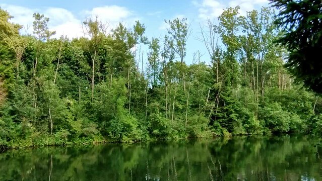 idylischer ruhiger Fluss mit gro&szlig;en B&auml;umen am Ufer, Naturschutz, Entpannung
