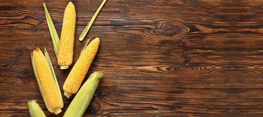 Fresh corn cobs on wooden background with space for text