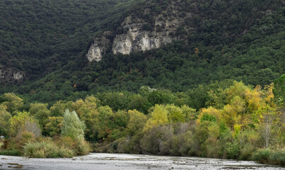 couleurs d'automne au bord de rivière