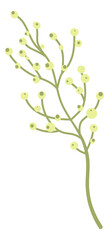 Blooming branch. Floral decoration. Beautiful natural element