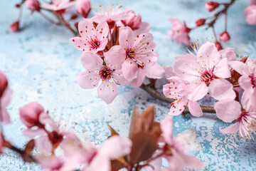 Blooming branches on grunge background, closeup