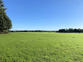 A view of the Cheshire Countryside near Knutsford on a sunny Autumn day