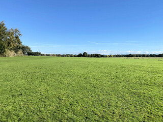A view of the Cheshire Countryside near Knutsford on a sunny Autumn day