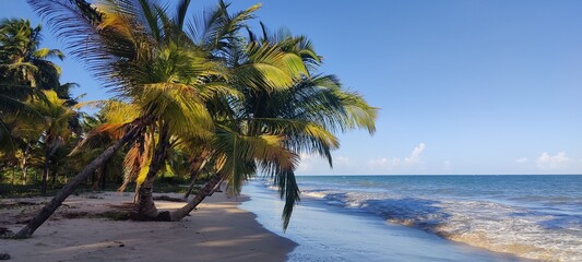 Vacaciones en la playa