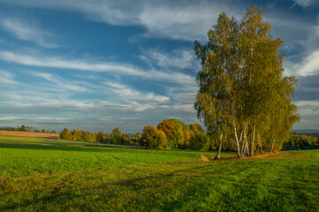 View for autumn landscape in color hot evening near Roprachtice village