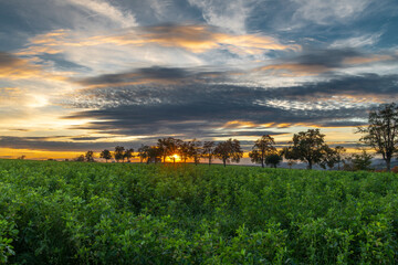 View for autumn landscape in color hot evening near Roprachtice village