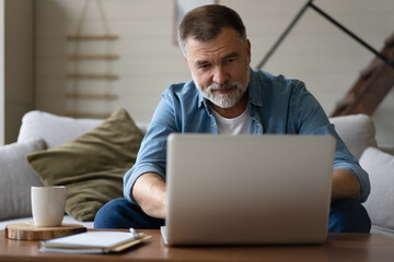 Fototapeta premium Senior man in casual clothing using laptop and smiling while sitting on the sofa, working from home.
