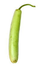 fresh Bottle gourd - Loki vegetable isolated on white background