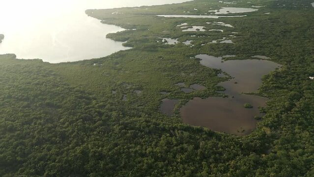 Aerial of Sian Ka'an natural biosphere reserve park Tulum Mexico Caribbean Sea 