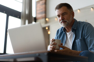 Senior man in casual clothing using laptop and smiling while sitting on the sofa, working from home.
