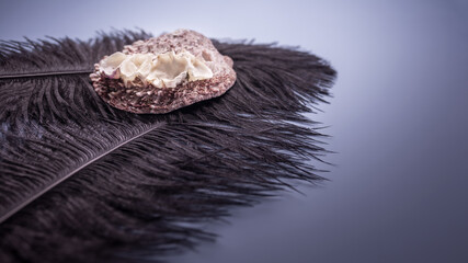 black feather with a seashell on a gray-blue background