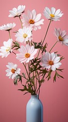 Beautiful white Daisy with a little pink, on background. Floral flower illustration. Generative AI