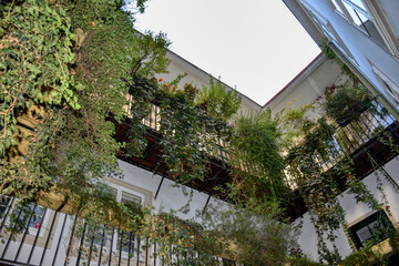 Wien, Innenhof, Blutgasse, Pawlatschenhof, Hoftrakt, Mittelalter, Oase, Stille, Ruhe, Bürgerhaus,...