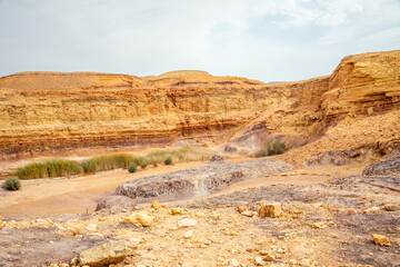 Small oasis and landscape panorama of Negev desert, Israel