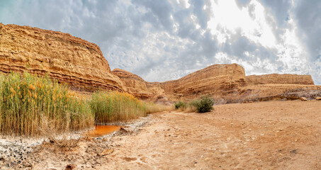 Small oasis and landscape panorama of Negev desert, Israel