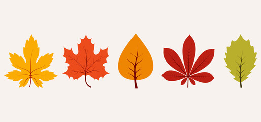 Collection of autumn leaf. Botanical design elements. Vector illustration