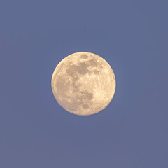 Full moon on the evening sky, closeup, can be used as natural background.