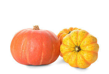 Different fresh pumpkins on white background