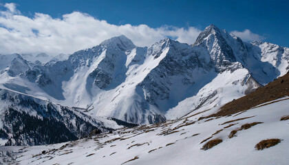 Fototapeta premium Winter Wonders Exploring the Snowy Mountains