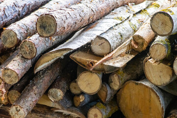  A tree arranged meticulously, set and ready for a roaring bonfire.