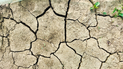  A stark close-up image of dry cracked soil depicting severe drought conditions.