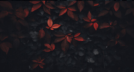 Black leaves background. Top view. Flat lay. Nature concept.