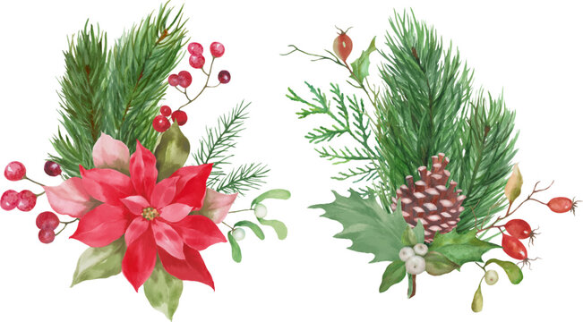 Watercolor floral Christmas set. Hand drawn illustration isolated on white background. Vector EPS.