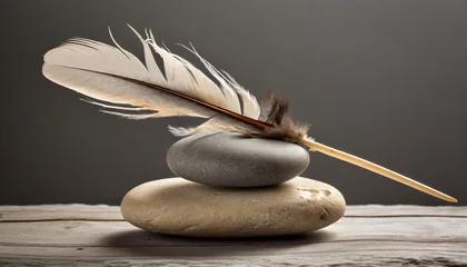 Rugzak feather and stone balance © Richard