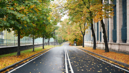 empty road in city in autumn time
