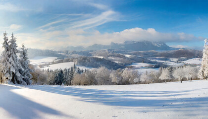Fototapeta na wymiar snowy winter landscape panorama