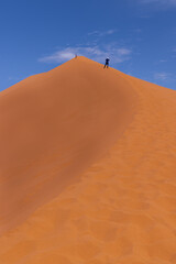 Wanderer auf einer Düne in der Wüste, Namib