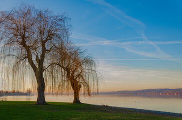 sunrise over the river