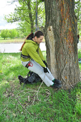 An athletic girl climbs a tall tree using a carabiner belay, pulls herself up onto the rope with her hands, and gains great height. Recreation and sports.