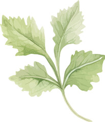 Vibrant Watercolor Leaf Vector Illustration - Botanical Art