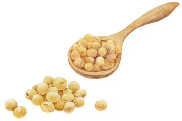 木のスプーンですくった大豆の水彩画イラスト　たくさんの大豆