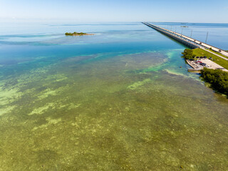 Naklejka premium Bright green reef in the Florida Keys