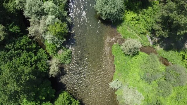 Naturality - Green Summer day, clear river water