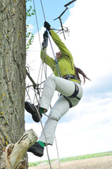 An athletic girl climbs a tall tree using a carabiner belay, pulls herself up onto the rope with her hands, and gains great height. Recreation and sports.