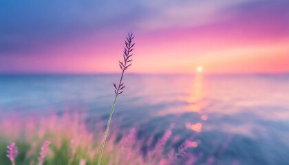 little grass stem close up with sunset over calm sea sun going down over horizon pink and purple...