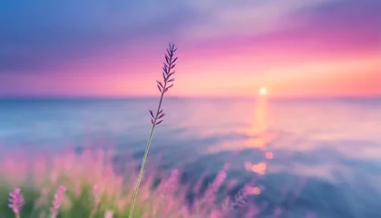 Deurstickers little grass stem close up with sunset over calm sea sun going down over horizon pink and purple pastel watercolor soft tones beautiful nature background © Marsha